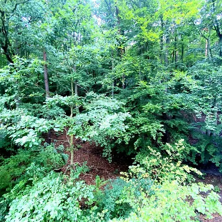 Forest - 23 Marca By Grand Appartement *